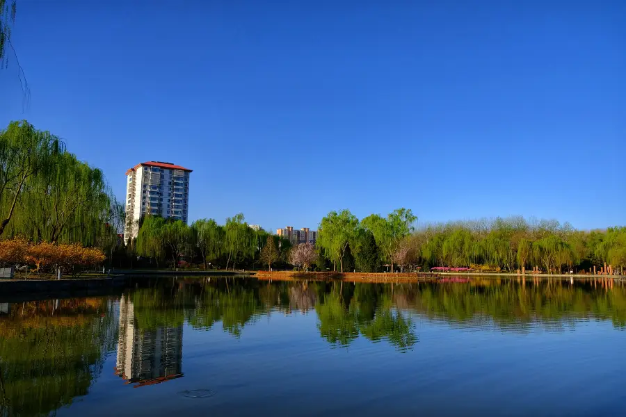 臥龍公園