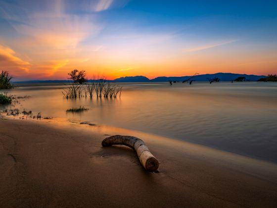 หาดทรายห柳林