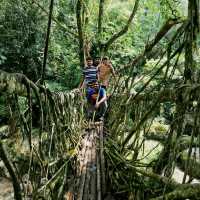 Living Root Bridge