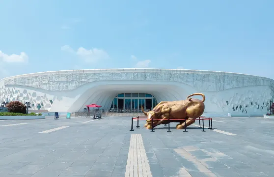 2人起私家團海昏侯國遺址公園安義古村一日遊南昌九江上門接送