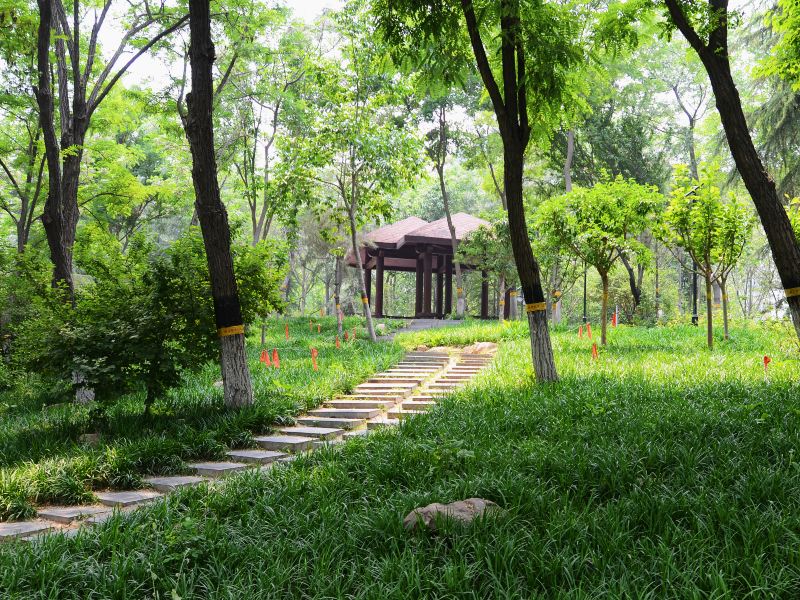 Huaibei Park (North Gate)