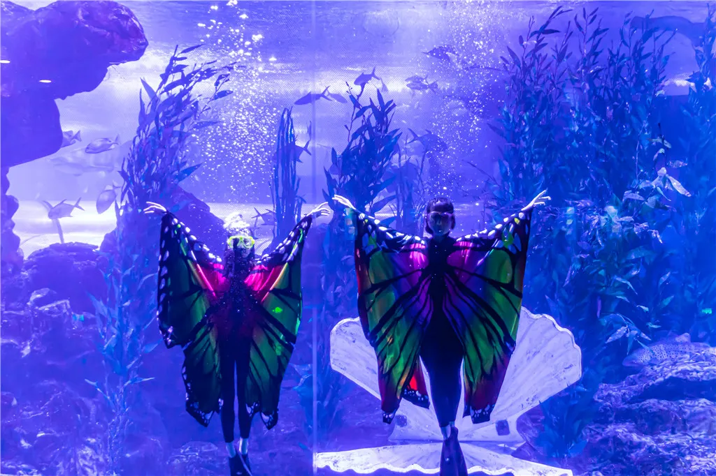 3_ชิงเต่าทะเลโลก