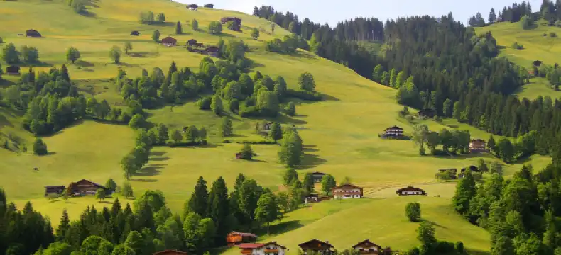 Hotels in Gstaad