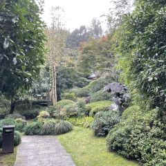 LONGJING MANOR User Photo