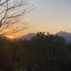 Dahongdenglong (jiangdong) User Photo