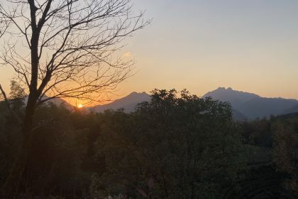 Dahongdenglong (jiangdong)