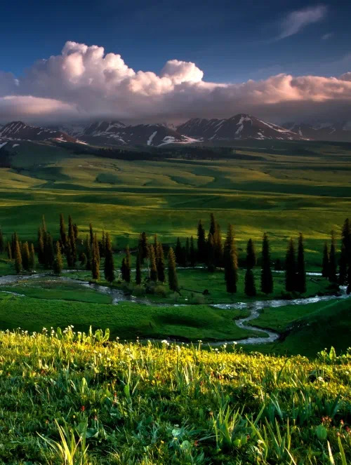 那拉提旅遊風景區旅遊攻略指南 那拉提旅遊風景區評價 那拉提旅遊風景區附近推薦 Trip Com