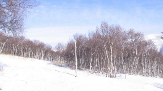 Saibei Ski Field