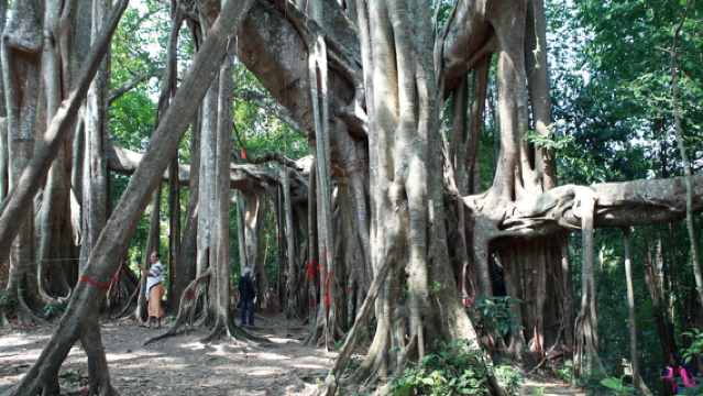 Tong Biguan Relic Site