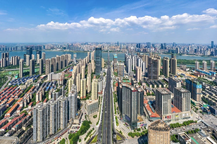 Municipal Government Commercial Area