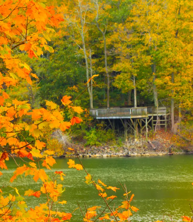 Massie Township