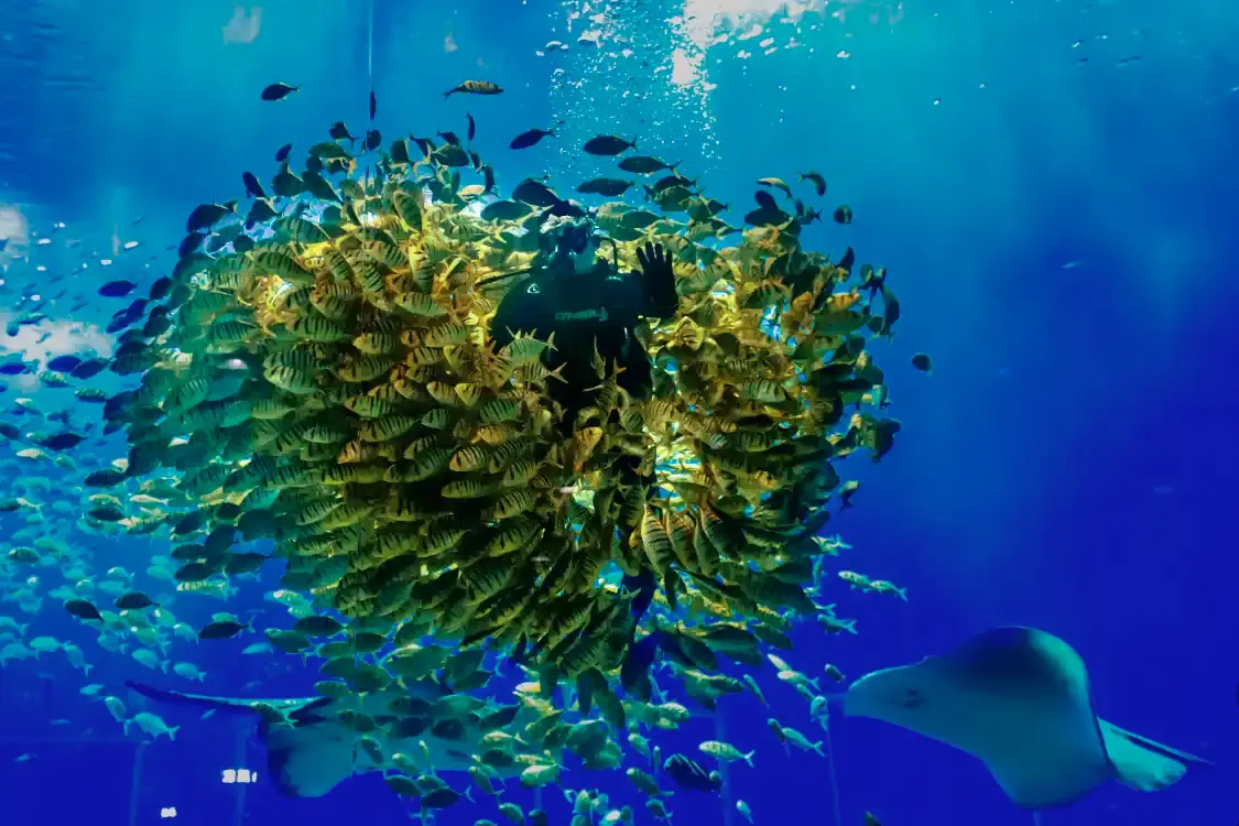 Hotels near Nanning Polar Ocean World