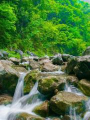 木橋溪生態旅遊度假區