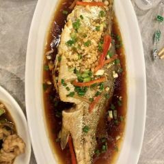 Cafe Tribu張用戶圖片