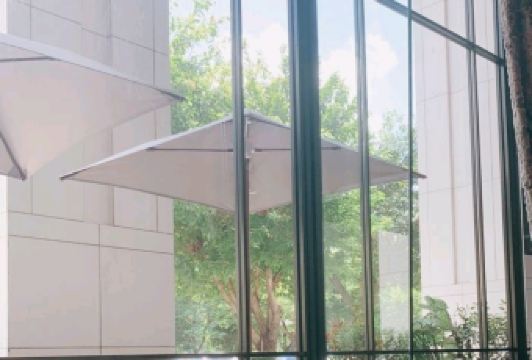 ROSE PALACE User Photo