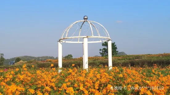 Shenxian (Spirit Fairy) Lake Sea of Flowers