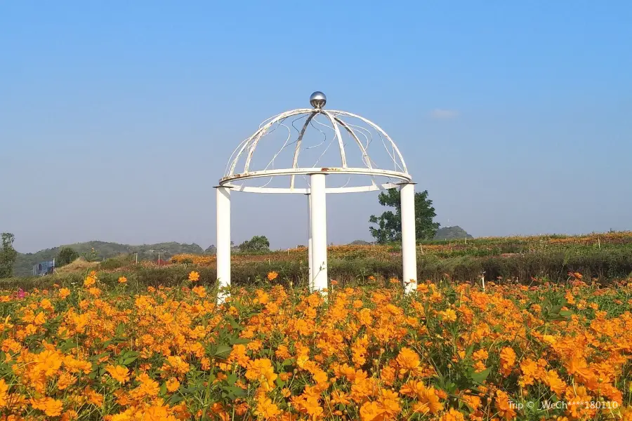 Shenxian (Spirit Fairy) Lake Sea of Flowers