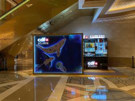 cdf澳门上葡京店—绅士精品馆