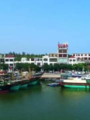 Tanmen Zhongxin Fishing Port