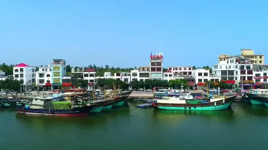 Tanmen Zhongxin Fishing Port