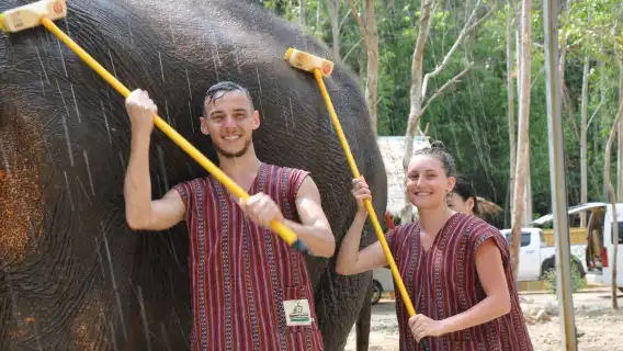 ทัวร์ครึ่งวันปางช้างไนดี จังหวัดภูเก็ต ประเทศไทย | อาบน้ำ แช่โคลน ให้อาหาร