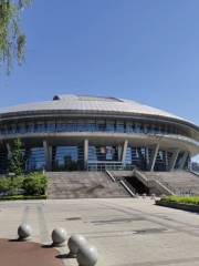 Luoyang New District Gymnasium