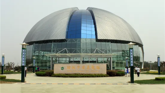 Zhucheng China Tyrannosaurus Pavilion