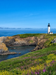 Yaquina Head Lighthouse