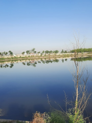 Mansarovar Jheel Bhilwara