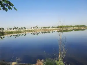 Mansarovar Jheel Bhilwara