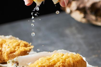 Runaway Cow Canton 8