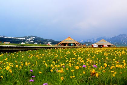 赛里木湖西海盛宴民宿·餐厅