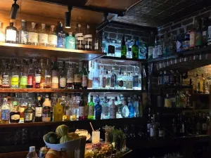 Bathtub Gin & Co.