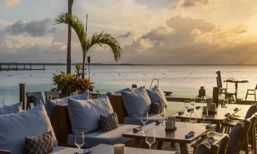 Tora | Japanese Restaurant in Cancun