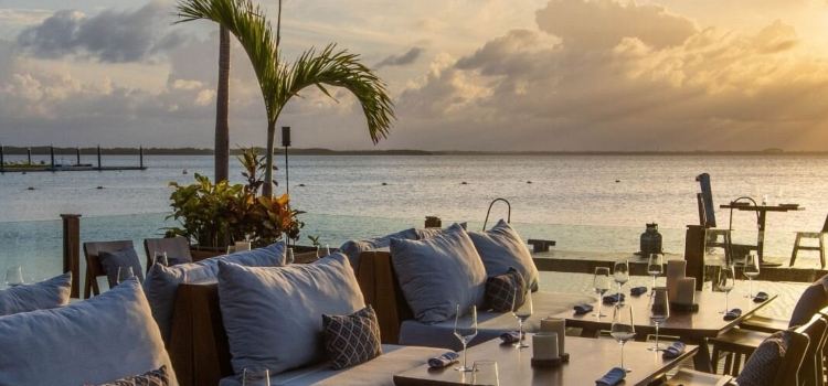 Tora | Japanese Restaurant in Cancun