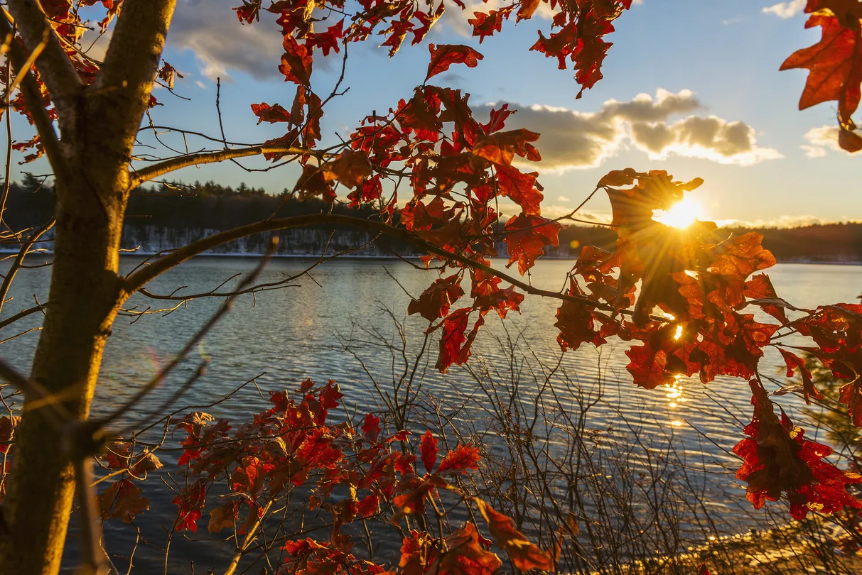 5_Walden Pond State Reservation