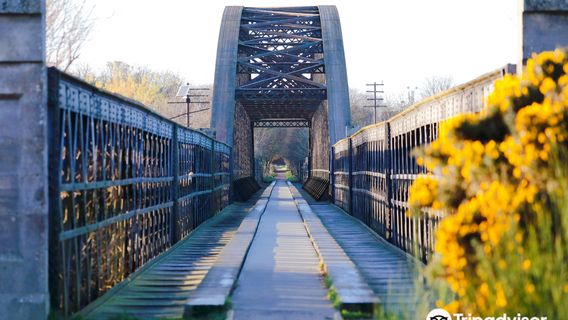 WDC Scottish Dolphin Centre