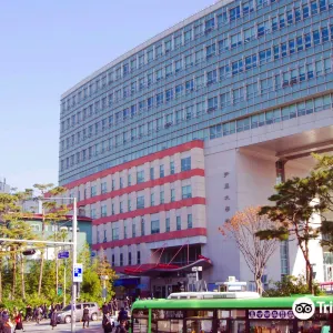 弘益大学校 ソウルキャンパス