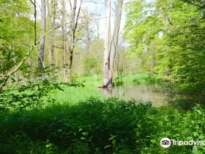 Bystrzyca Valley Landscape Park