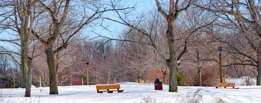 Holmdel Park