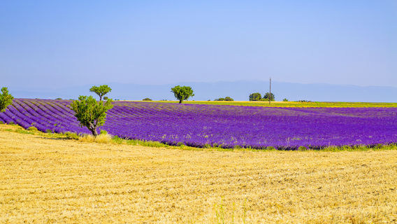 Saihantala Tourist Park