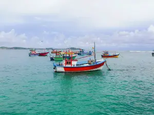 Negombo Little Beach (Sailing Ships)