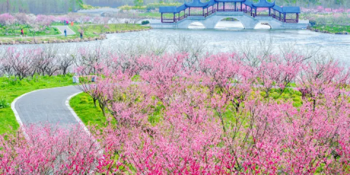 上海海灣國家森林公園