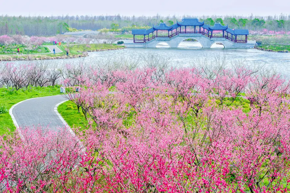 5_Shanghai Haiwan National Forest Park