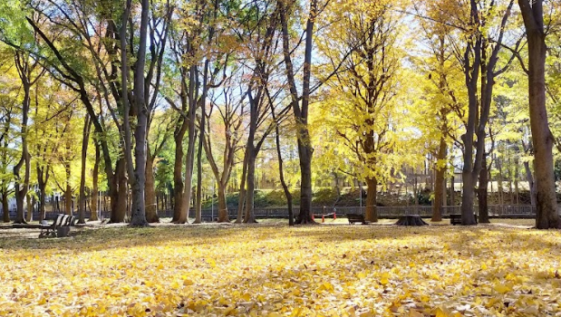Johoku Central Park