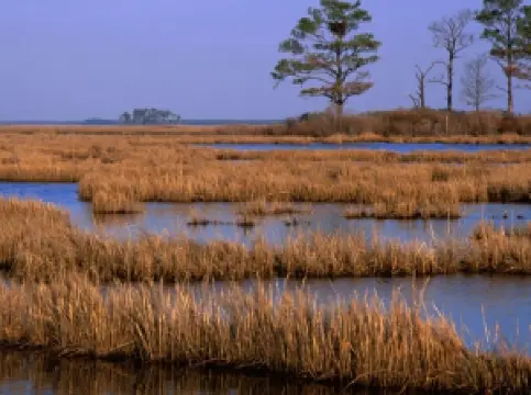 Blackwater National Wildlife Refuge Visitor Center