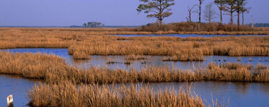 Blackwater National Wildlife Refuge Visitor Center