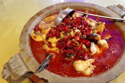 Tuo jiang River Fishing King