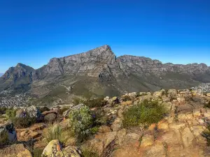 Table Mountain National Park