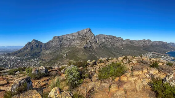 Table Mountain National Park